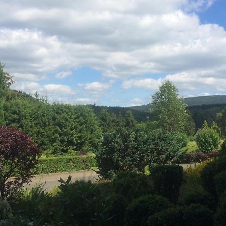 Fewo Eulennestchen-Harz Altenau  Kültér fotó