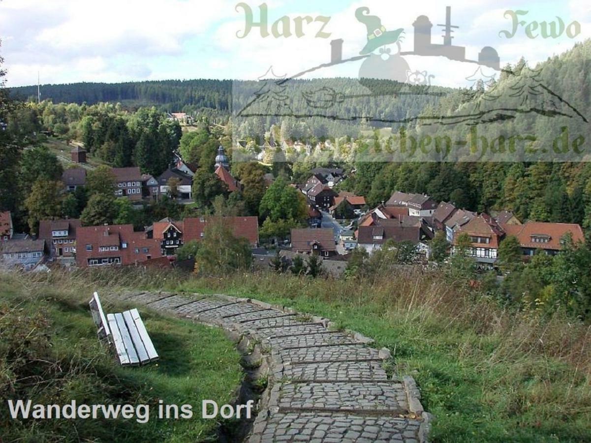 Fewo Eulennestchen-Harz Altenau  Kültér fotó