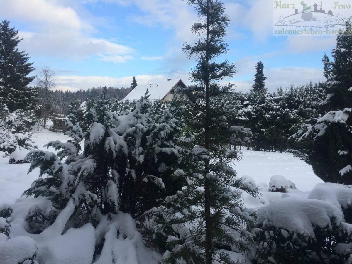 Fewo Eulennestchen-Harz Altenau  Kültér fotó