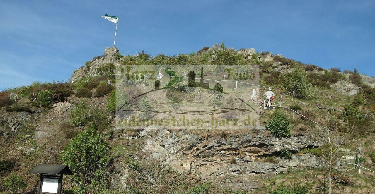 Fewo Eulennestchen-Harz Altenau  Kültér fotó