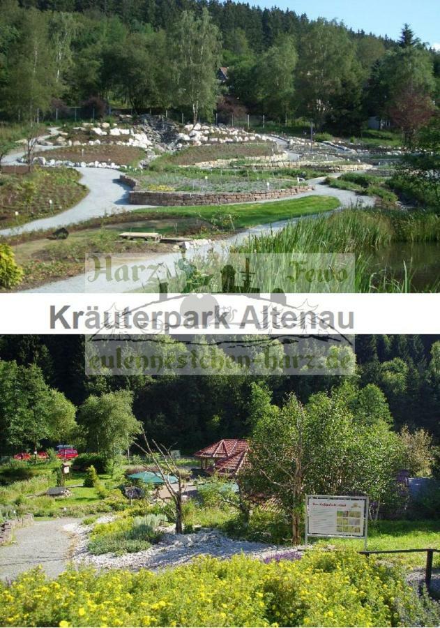 Fewo Eulennestchen-Harz Altenau  Kültér fotó