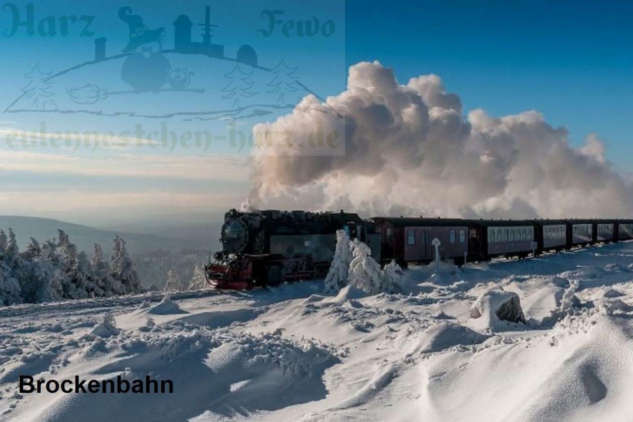 Fewo Eulennestchen-Harz Altenau  Kültér fotó